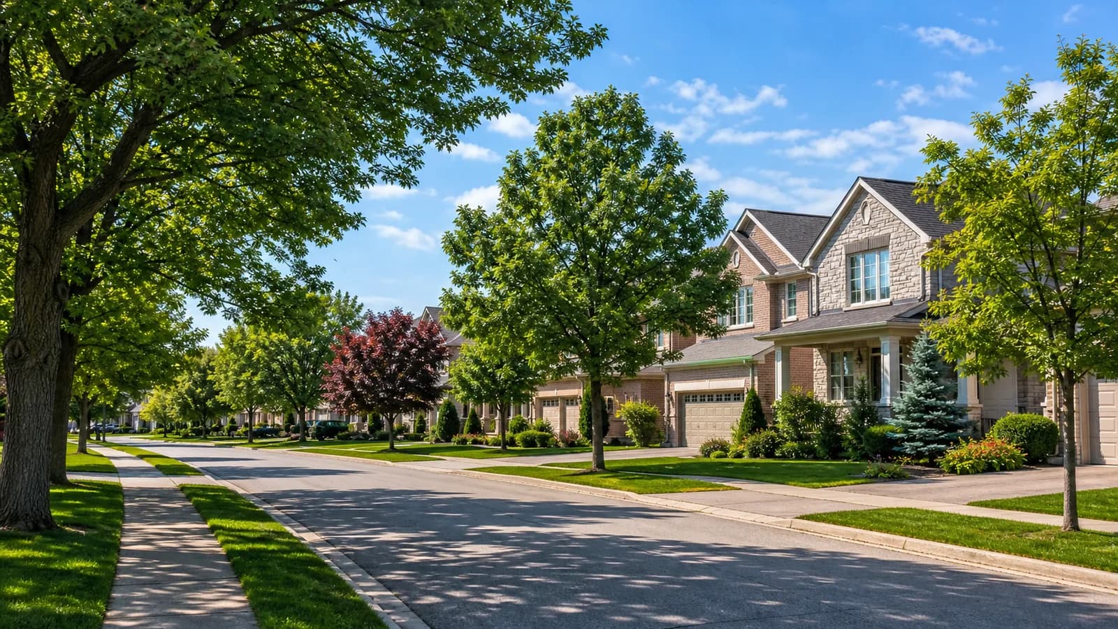 Detached homes on a residential street in Lisgar, Mississauga