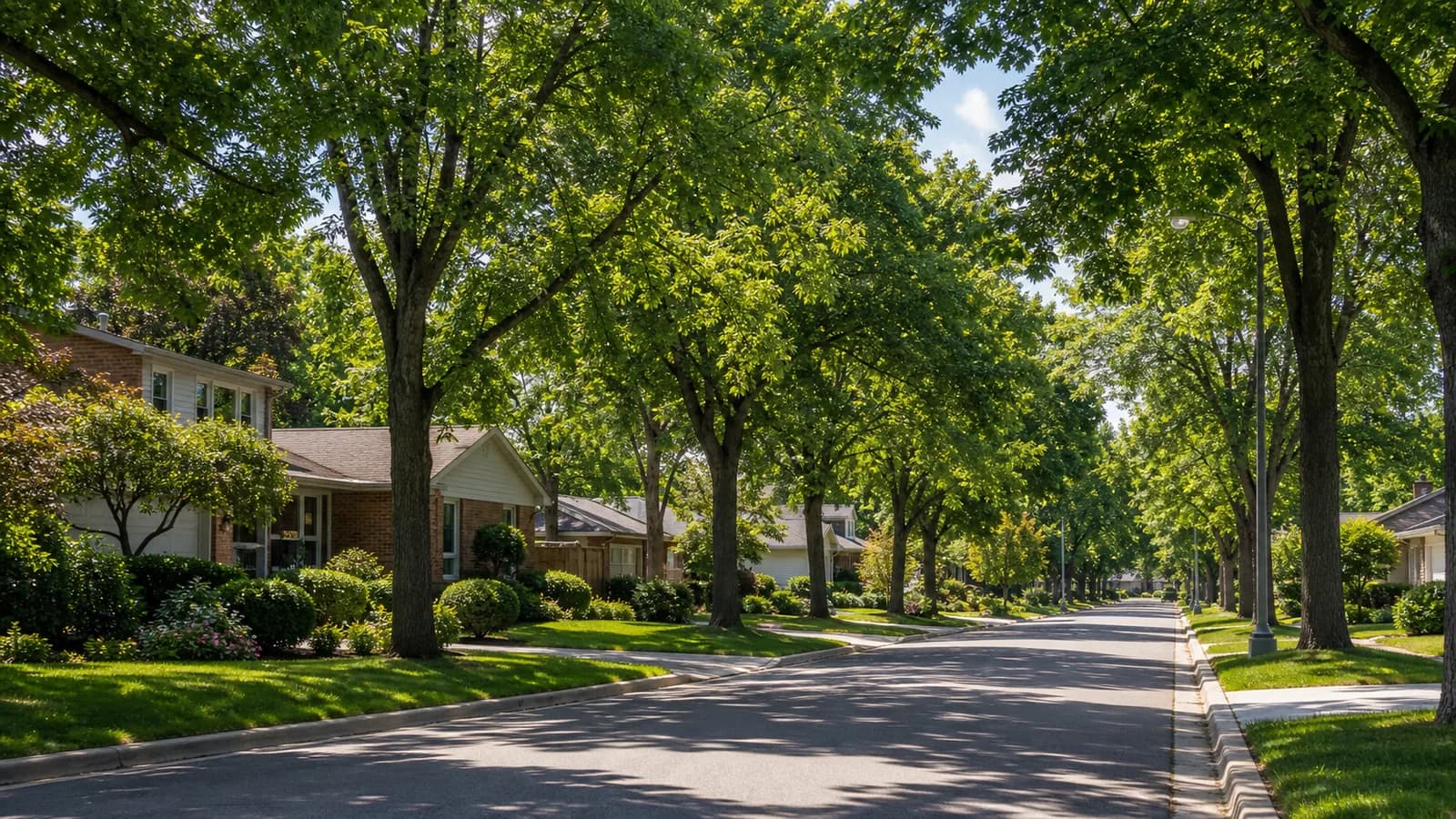 Bramalea homes in Brampton, Ontario