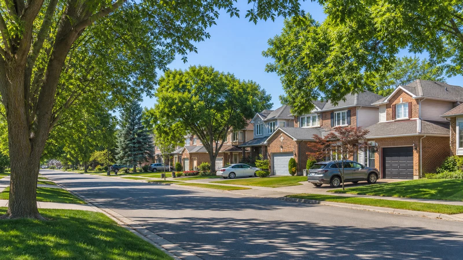 Madoc homes in Brampton, Ontario