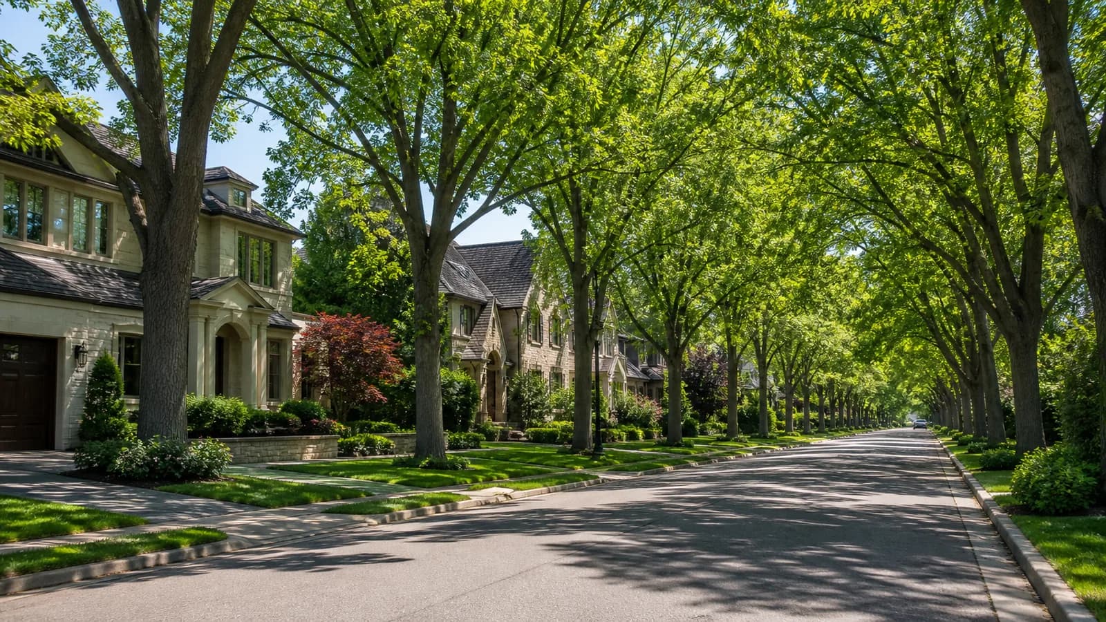 Eastlake homes in Oakville, Ontario